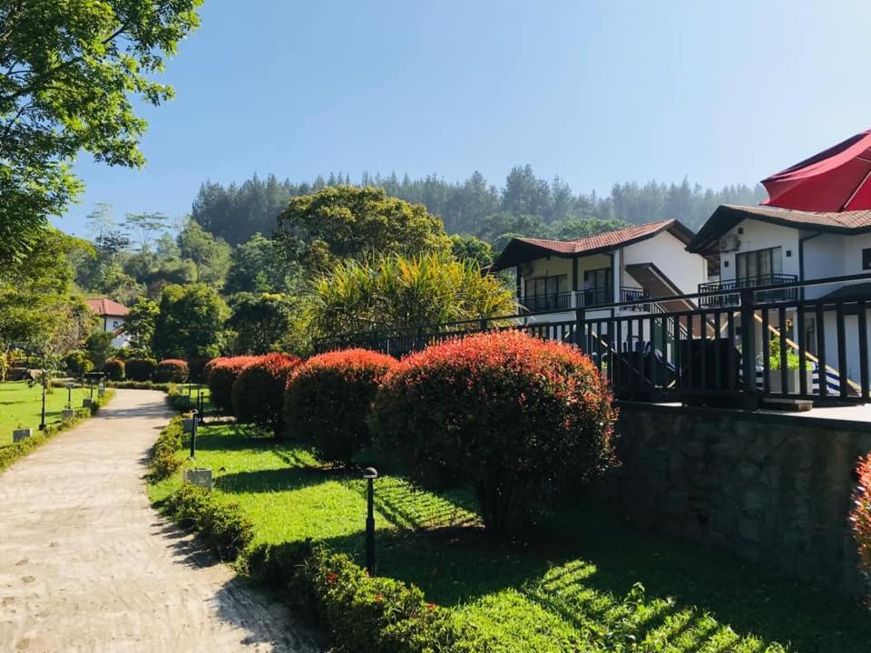 Okwin Resort Kandy Luaran gambar