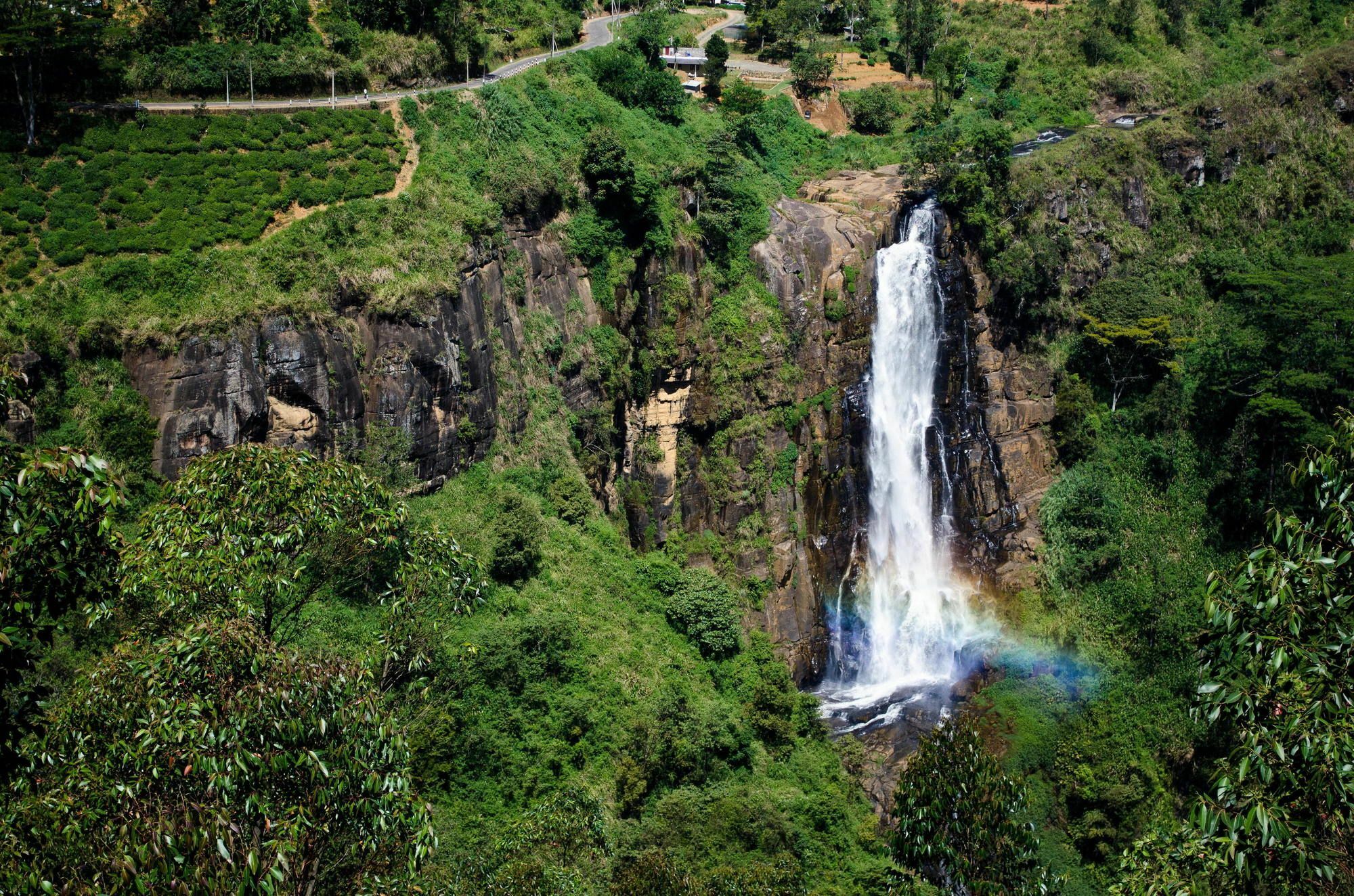 Okwin Resort Kandy Luaran gambar